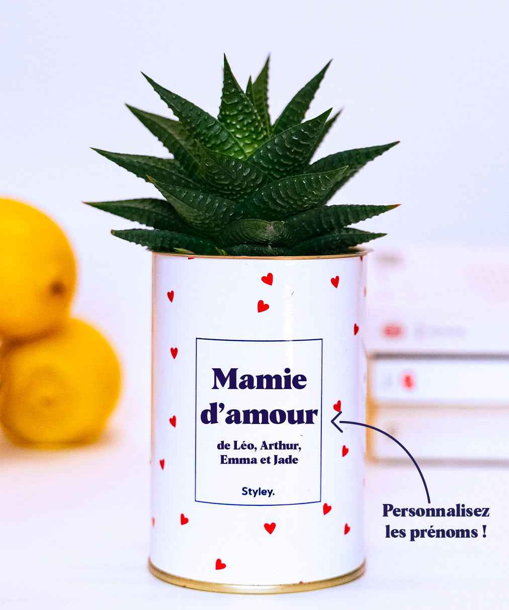Mamie d'amour personnalisable - Cactus