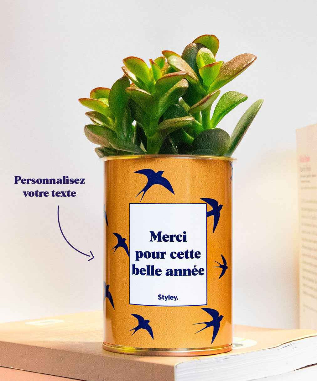 Cactus Hirondelles - Personnalisable