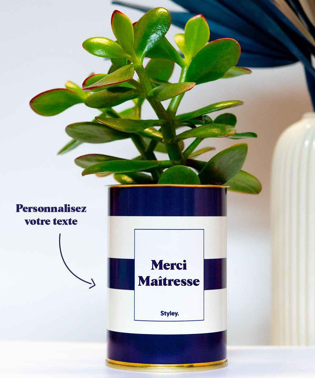 Cactus Cannes - Personnalisable