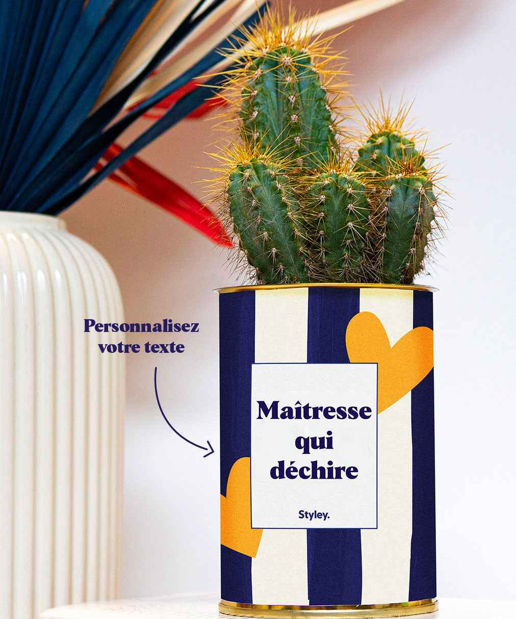 Cactus Côme - Personnalisable