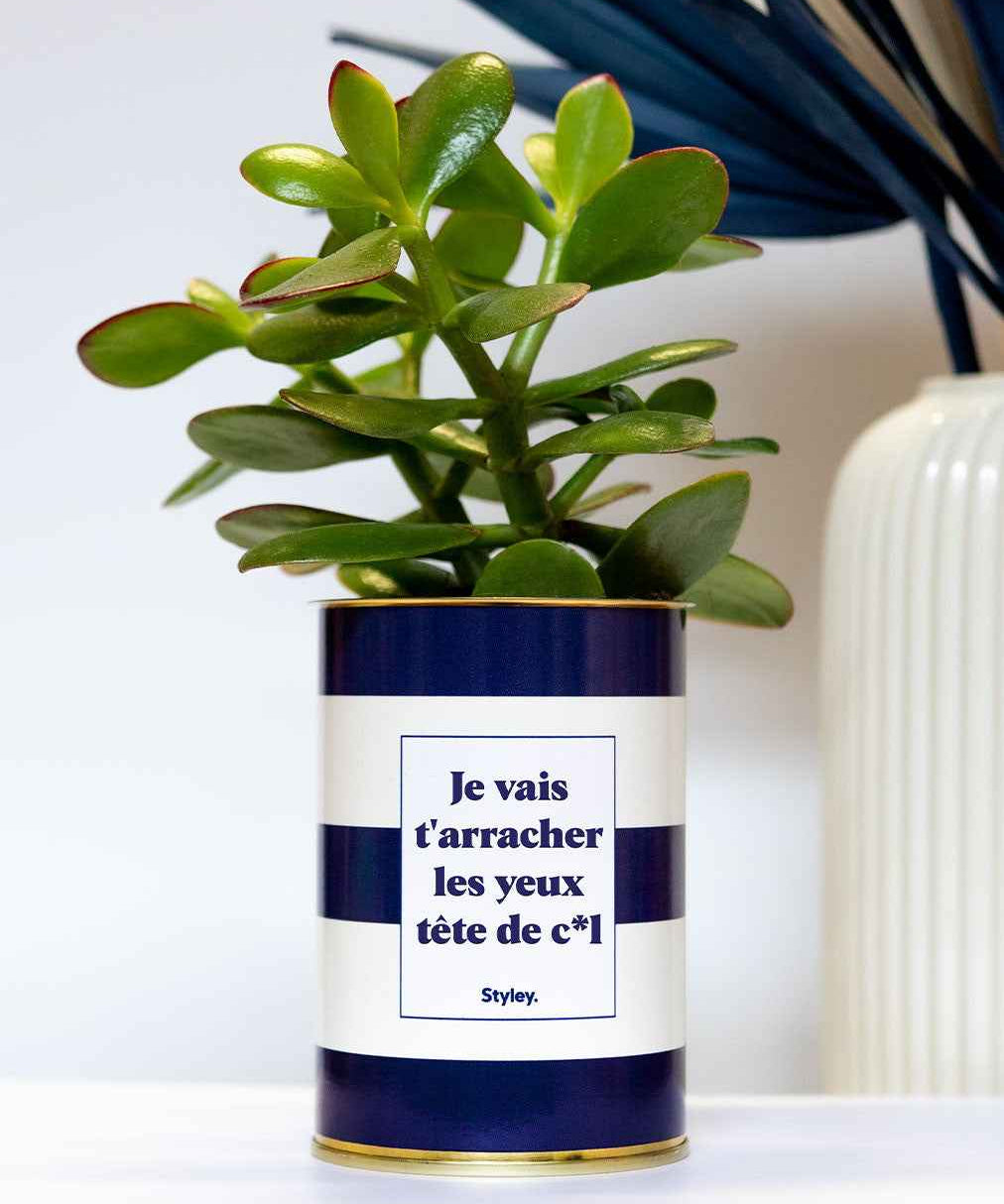 Je vais t'arracher les yeux tête de cul - Cactus