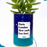 Plante Paris, London, New York personnalisable - Cactus