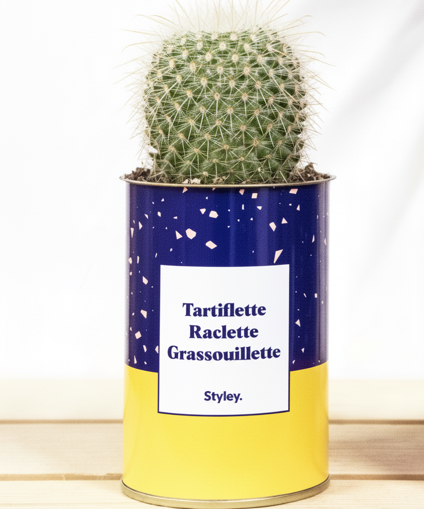 Tartiflette, raclette, grassouillette - Cactus
