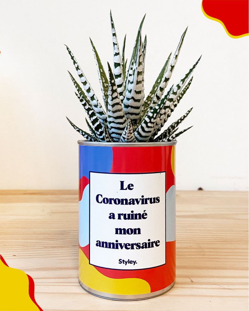 Le Coronavirus A Ruine Mon Anniversaire Plante Grasse I Styley Co Le Coronavirus A Ruine Mon Anniversaire Plante Grasse I Styley Co
