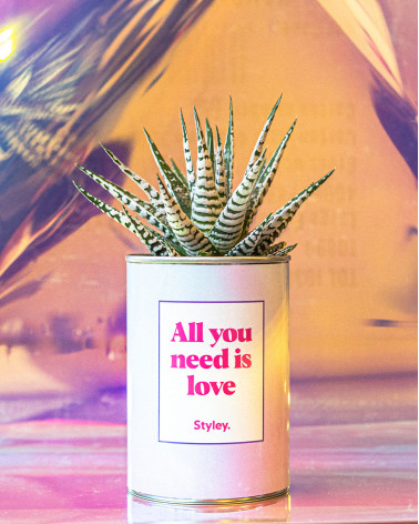 All you need is love - Cactus