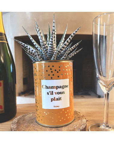 Champagne s'il vous plaît -...