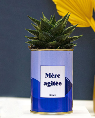 Mère agitée - Cactus