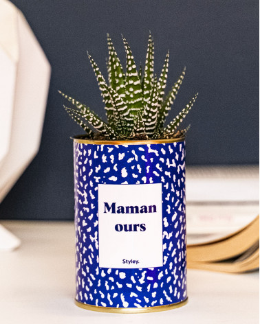 Maman ours - Cactus