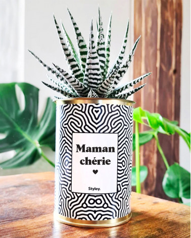 Maman Chérie - Cactus