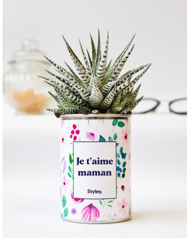 Je t'aime Maman - Cactus