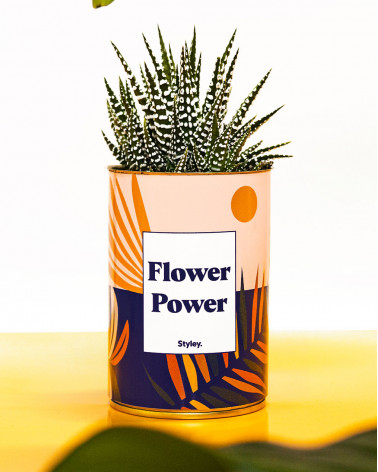 Flower Power - Cactus