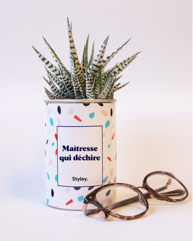 Maîtresse qui déchire - Cactus