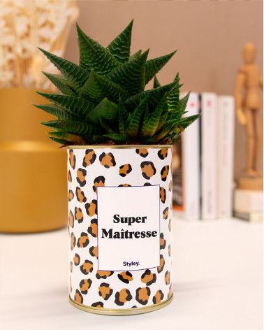 Super Maîtresse - Cactus