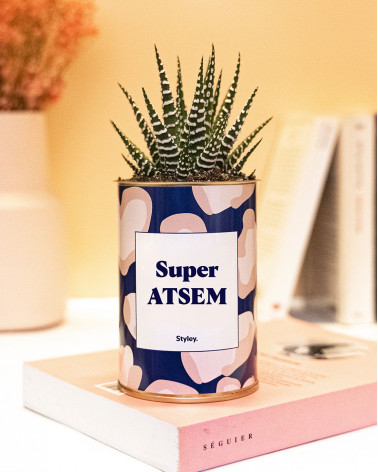 Super ATSEM - Cactus