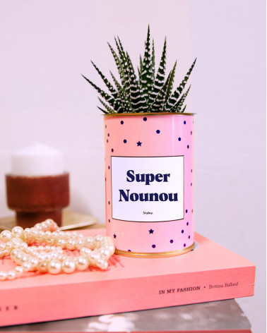 Super Nounou - Cactus