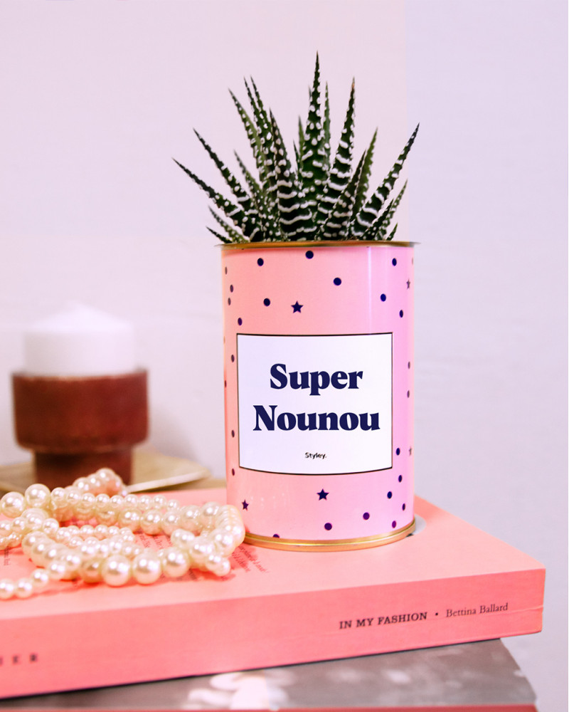 Super Nounou - Plante grasse I