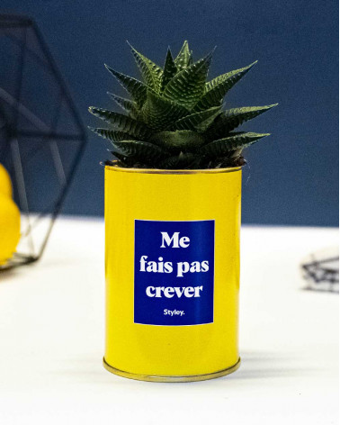 Me fais pas crever - Cactus