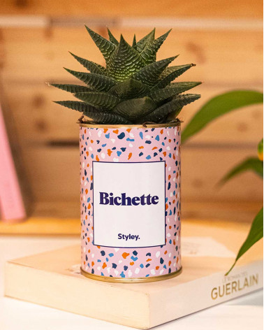 Bichette - Cactus