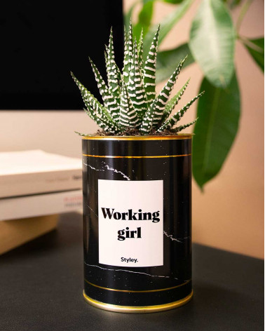 Working Girl - Cactus