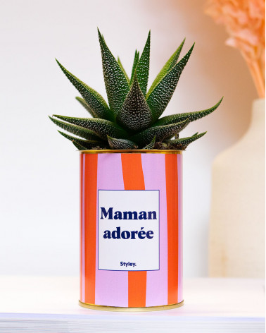 Maman adorée - Cactus