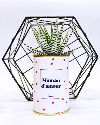 Maman d'amour - Cactus