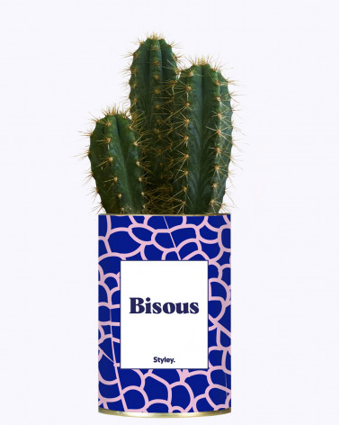 Bisous - Cactus