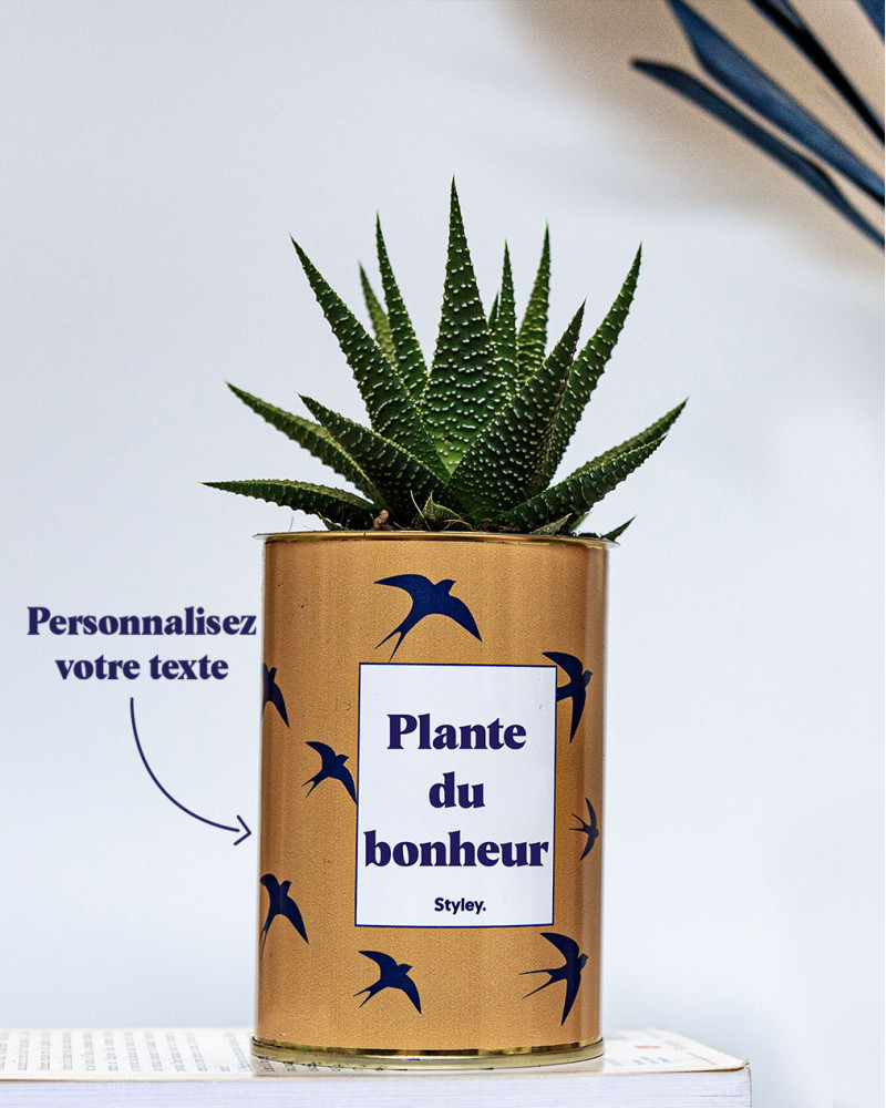 Plante à Message à Personnaliser