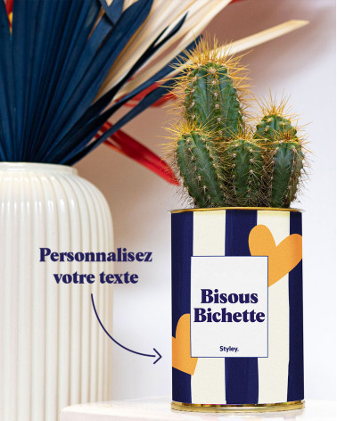 Cactus Côme - Personnalisable