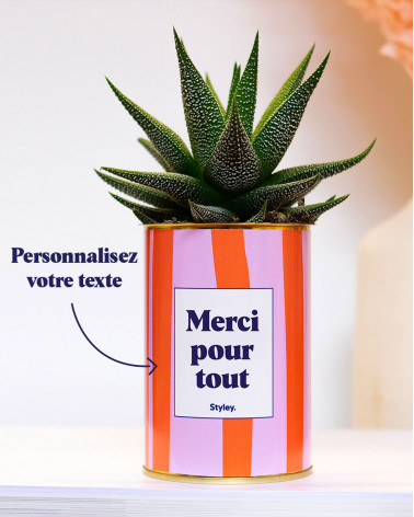 Pots pour plantes grasse et cactus ALPAGA – ecovi