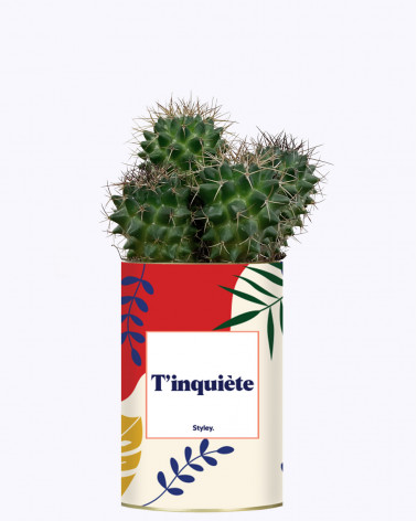 T'inquiète - Cactus