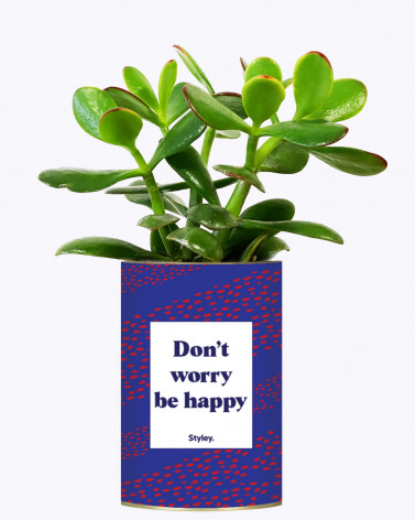 Don't worry be happy - Cactus