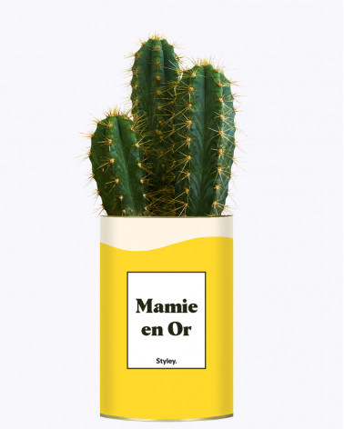 Mamie en Or - Cactus
