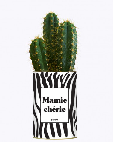 Mamie chérie - Cactus