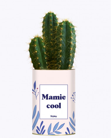 Mamie cool - Cactus