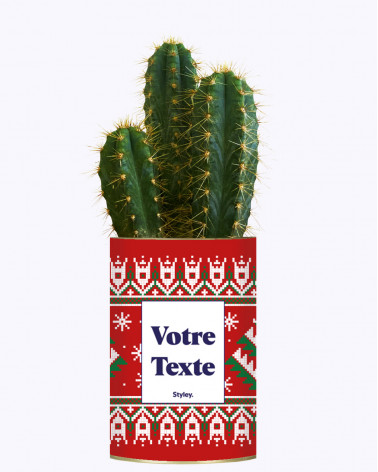 Mon cactus moche de Noël...