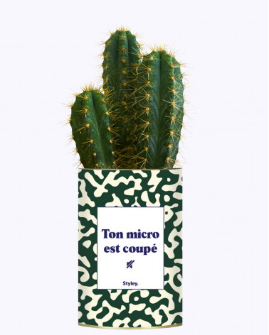 Ton micro est coupé - Cactus