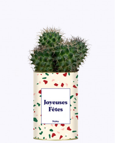 Joyeuses Fêtes - Cactus