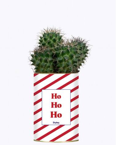 HO HO HO - Cactus
