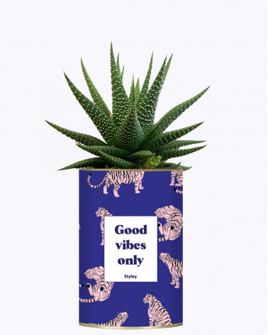 Good Vibes Only - Cactus