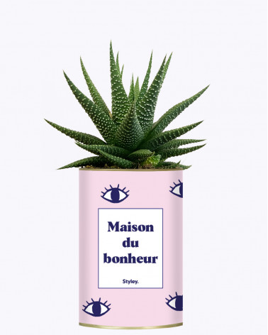 Maison du bonheur - Cactus