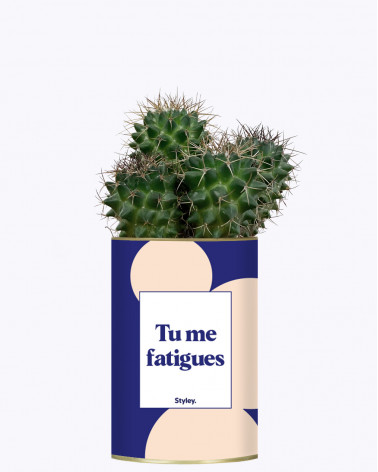 Tu me fatigues - Cactus