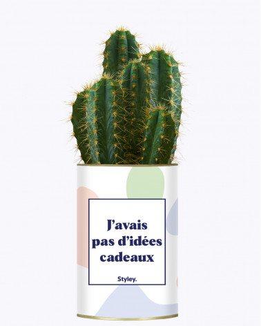 Idées Cadeaux - Cactus pour collègues de travail I STYLEY