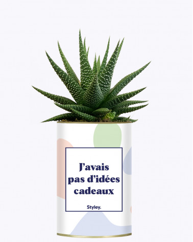 Idées Cadeaux - Cactus pour collègues de travail I STYLEY