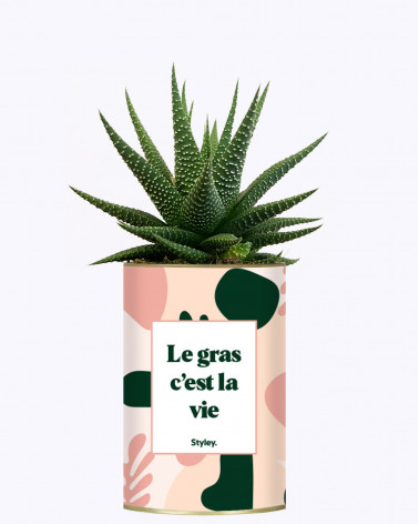 Le gras c'est la vie - Cactus