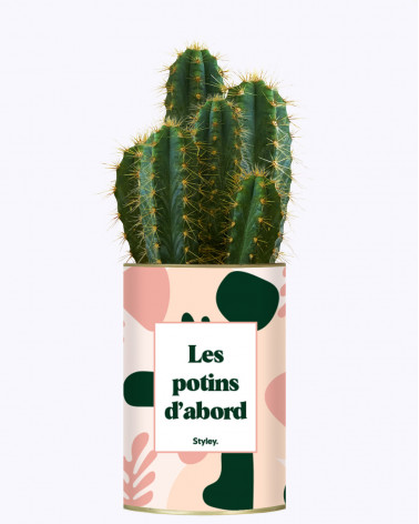 Les potins d'abord - cactus