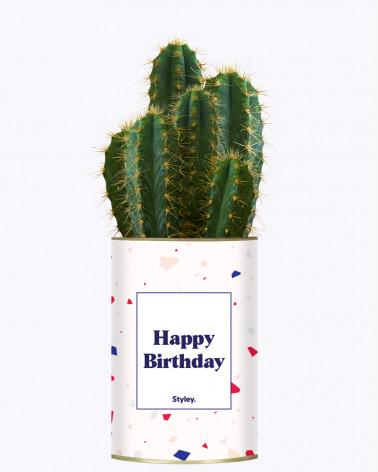 Happy Birthday - Cactus