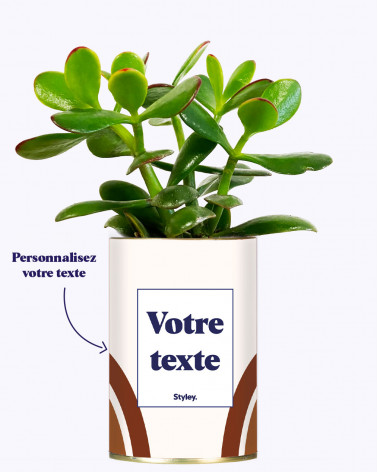 Arc - Plante personnalisable