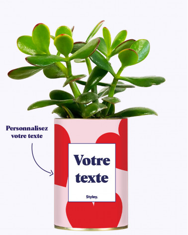 Beauté - Plante...