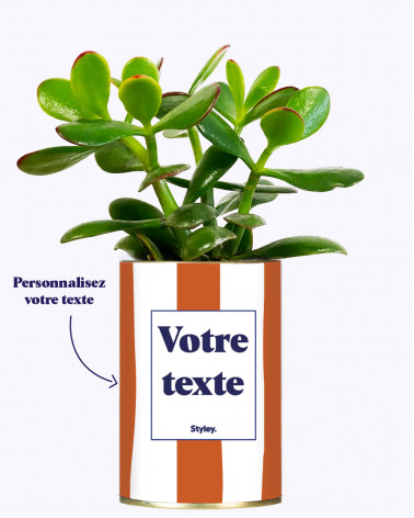 Rayures Terracotta - Plante...