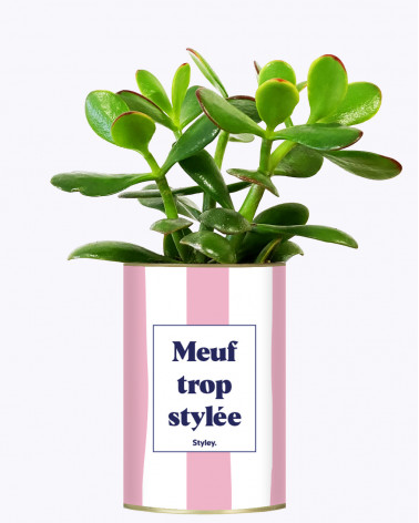 Meuf trop stylée - Plante